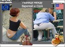 ���������� #7293