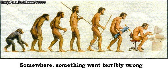 ���������� #10488