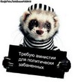 ��� websasha  �� ������  --�����-- (��� �����, ��� � ������ ����� ��)