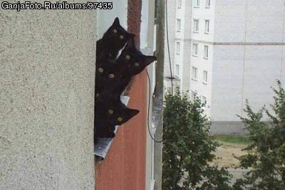 ���������� #133778