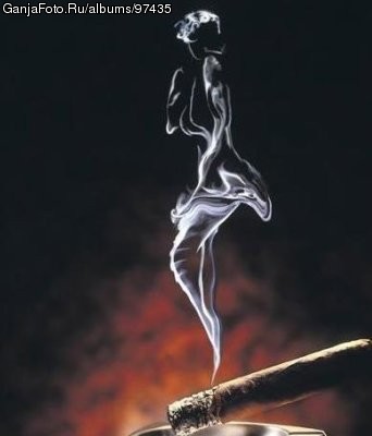 ���������� #133870