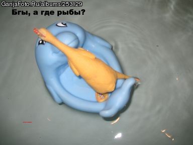 ���������� #155790