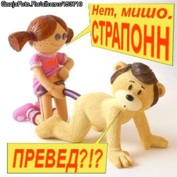 ���� ������ ����� ������ �����������