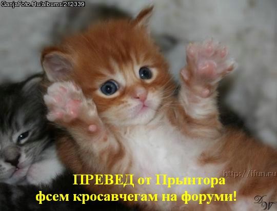 ���������� #175792
