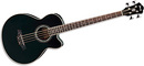 Acoustic Bass Ibanez