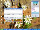 �� � � ICQ ���������