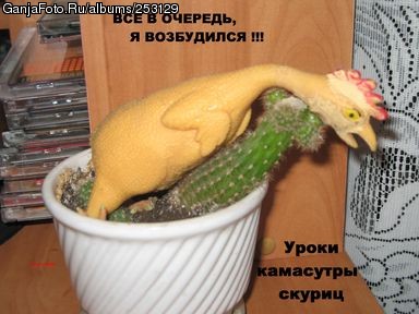 ����� � �������� ��������