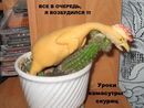 ����� � �������� ��������