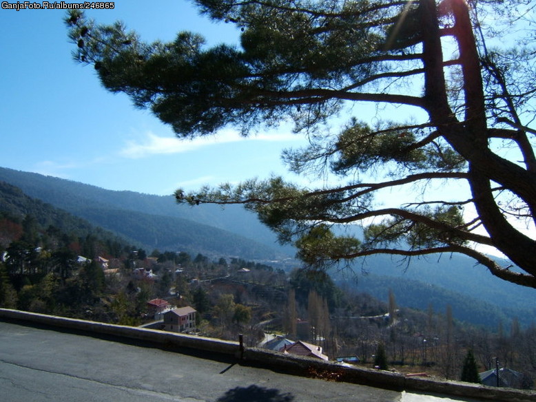 krasota