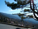 krasota