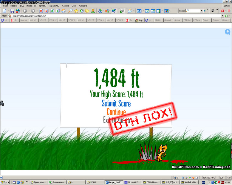 ���������� #196905