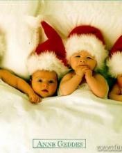 ���������� #200012