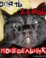 ���������� #200091