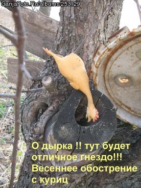 � ������� �����