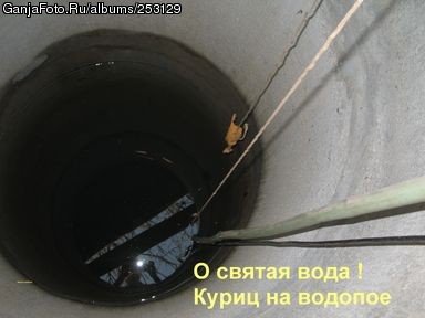 ���������� #212243