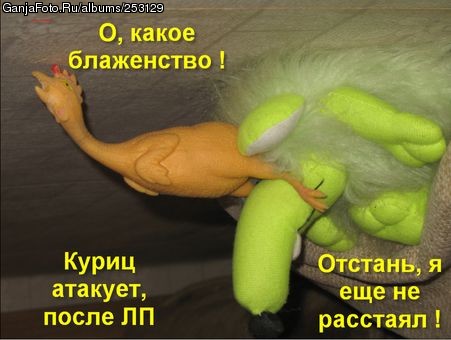 ��� ��������� �����, �� ���� ������� �� ����
