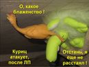 ��� ��������� �����, �� ���� ������� �� ����