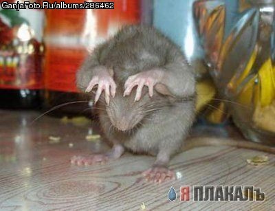 �� �������� ����� � �����0 =)