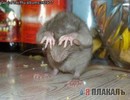 �� �������� ����� � �����0 =)