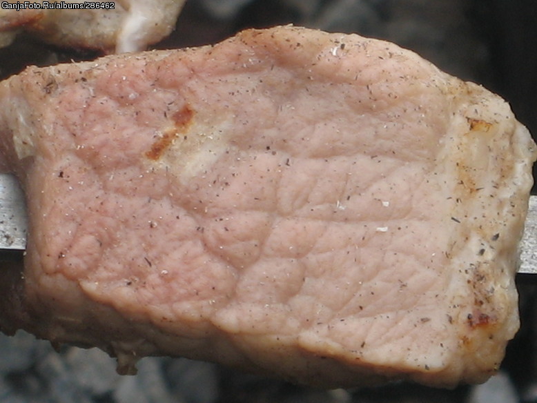 meat =)