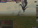 NOOB)