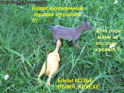 ������ ����� � ���� ������ ���� �3