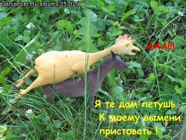 ������ ����� � ���� ������ ���� �4