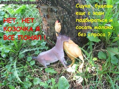������ ����� � ���� ������ ���� �7