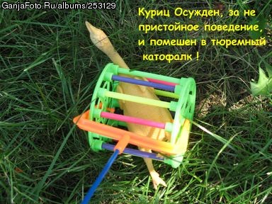 ������ ����� � ���� ������ ���� �8