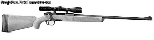 Steyr-Manlicher SSG