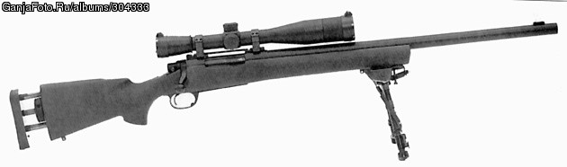 US Army M24