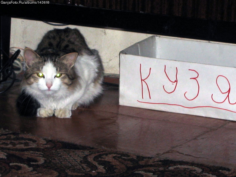 Don't touch it :)