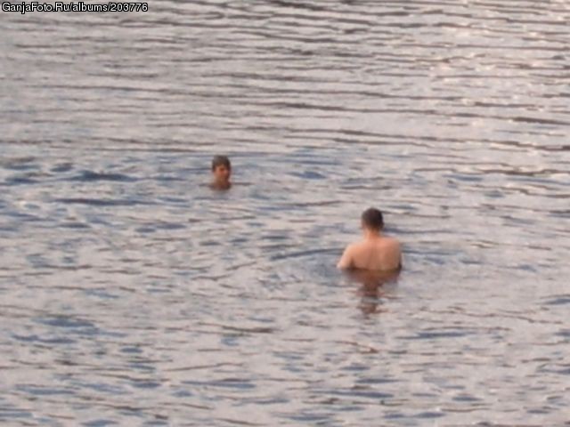 ���������� #35118