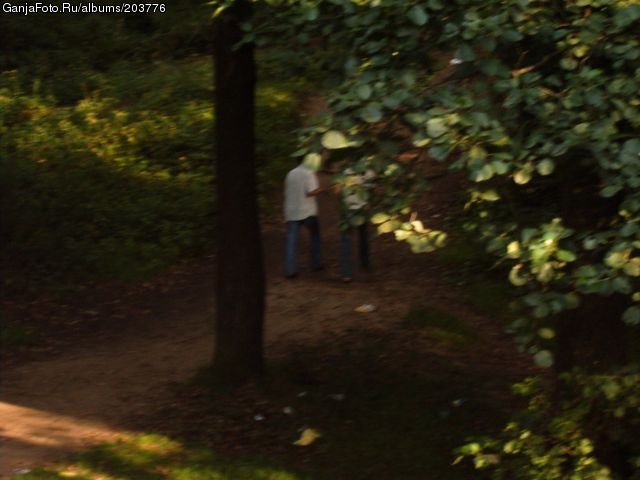 ���������� #35227