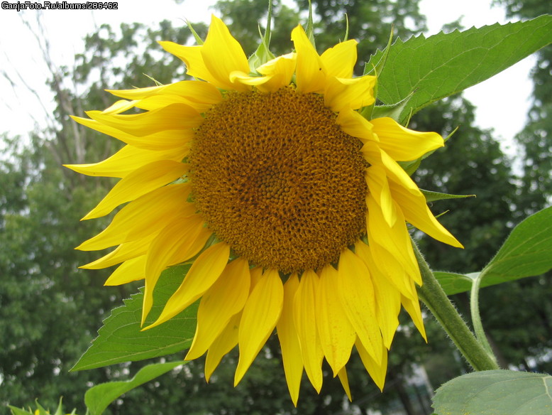 sunshine =)