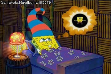 ���������� #346324