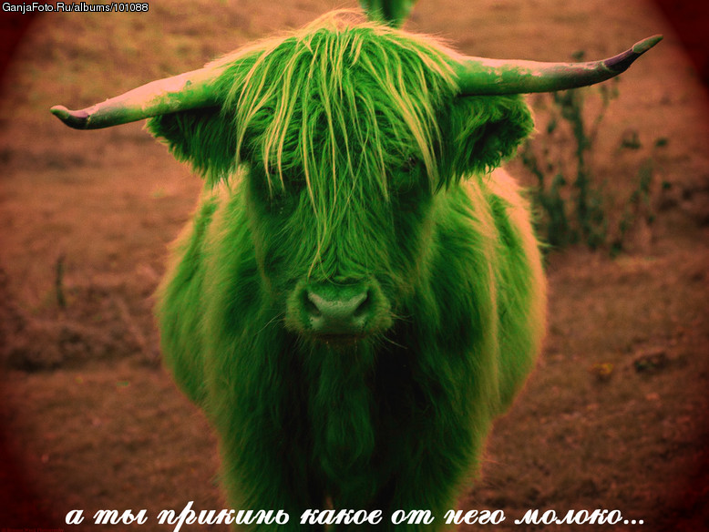 ����� ��� ������