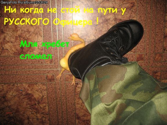 �� ���� �� ����.
