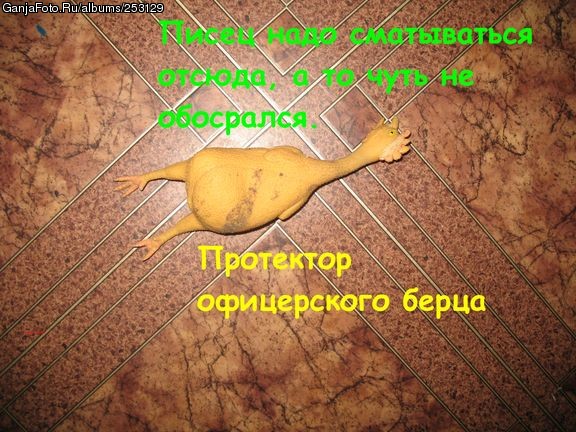 �����