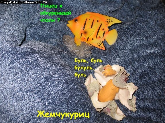 ���������� �����