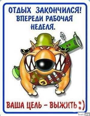 ���������� #390319