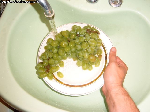 ���������� #48920