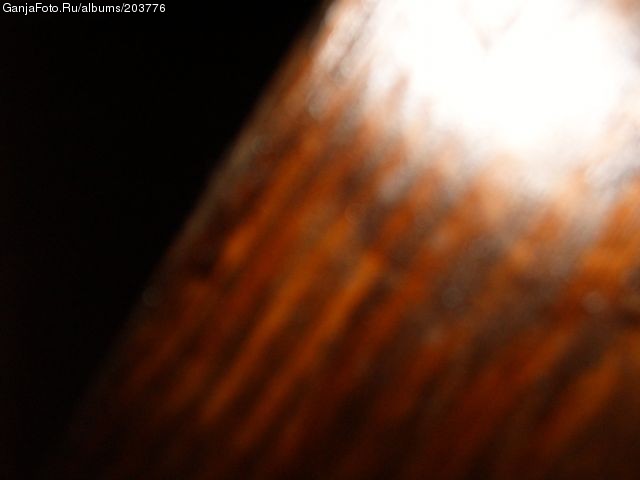 ���������� #49988