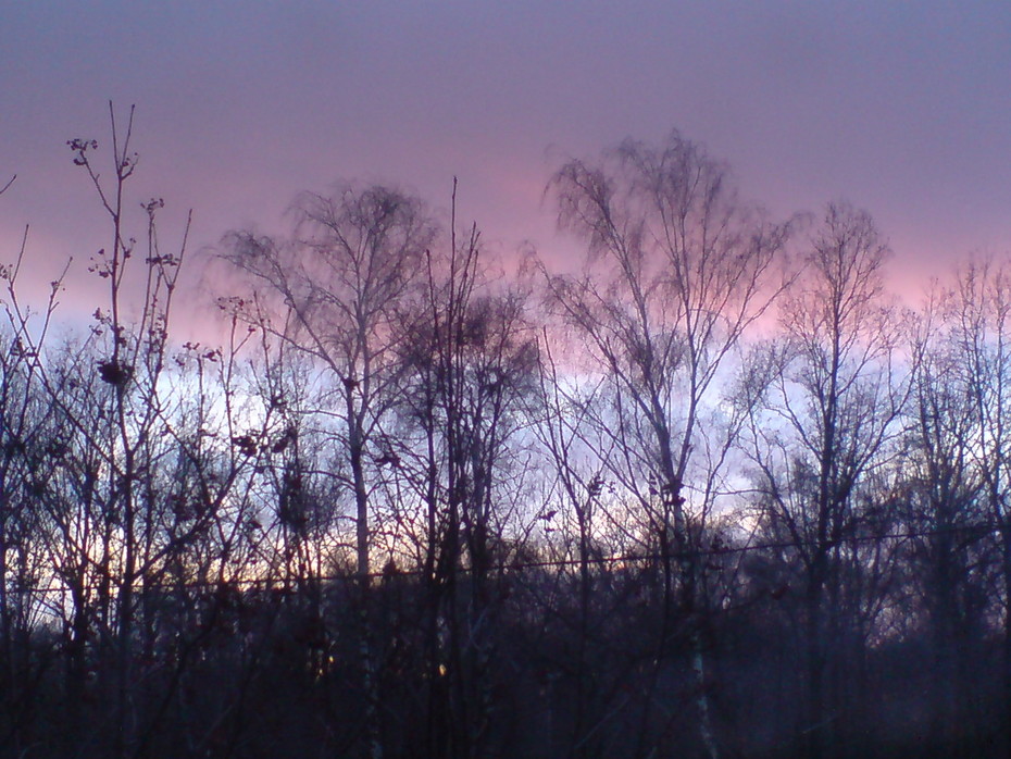 ��� �� ���� 16.12.2006