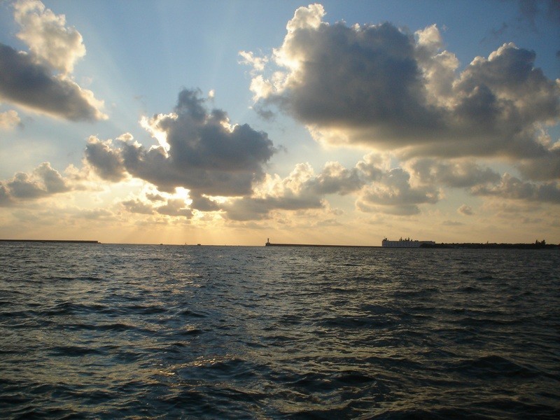 ����, �����������, 2006