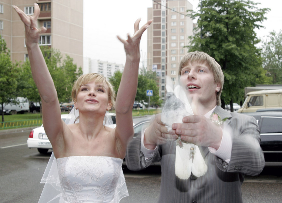 ���������� #479398