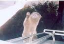 �����������))))))))