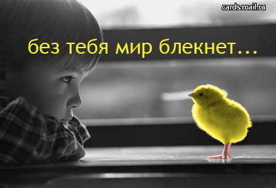 ���������� #582973