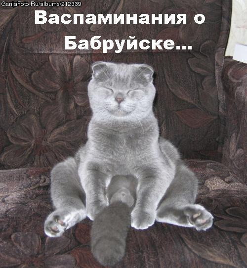 ���������� #69925