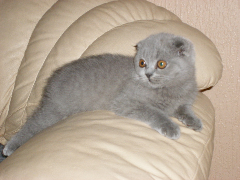 Ustala Alla